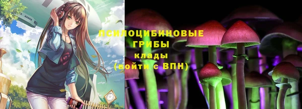 прущая мука Богданович