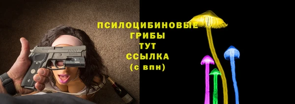 кокс Белокуриха