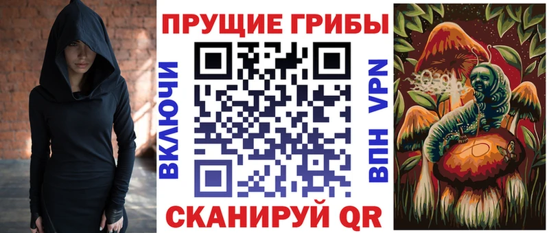 Купить закладки  Гусиноозёрск  Псилоцибиновые грибы Psilocybine cubensis 